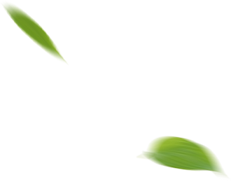 康而寿